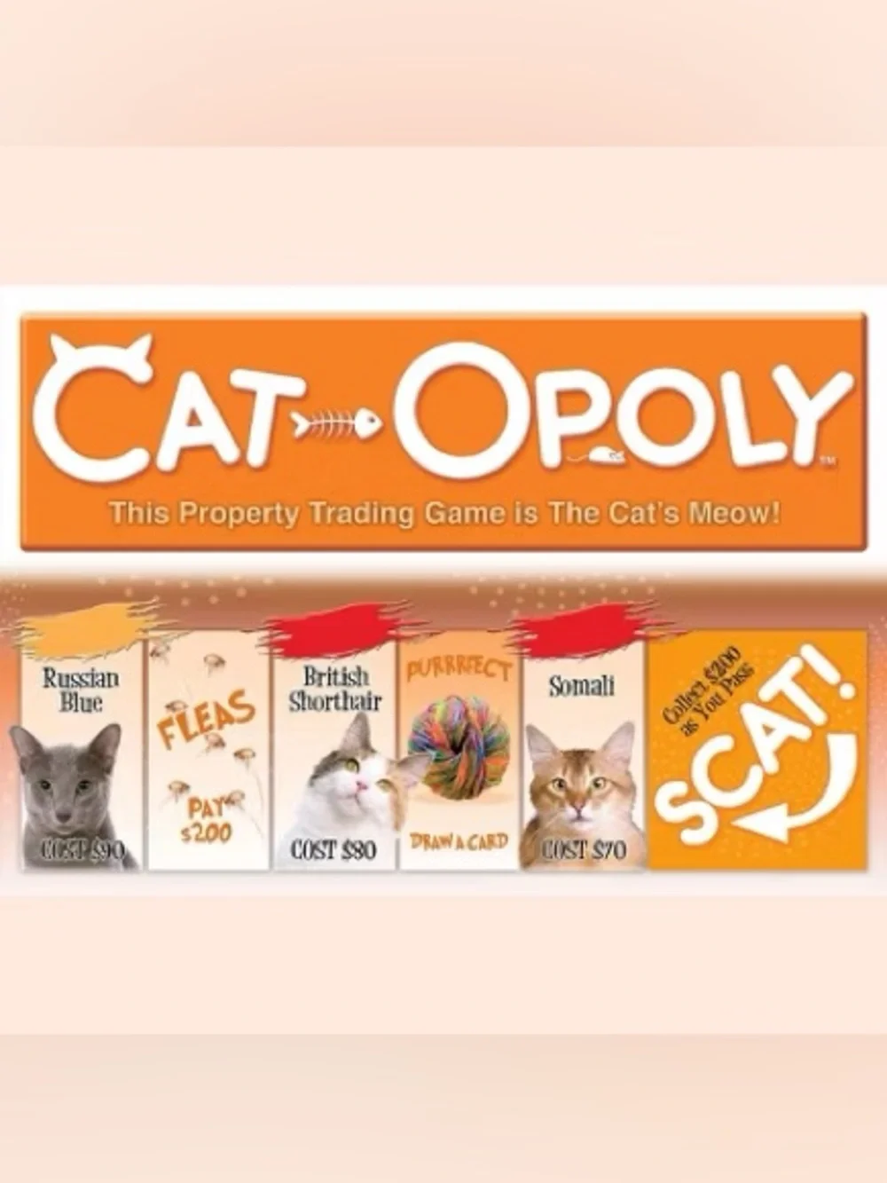 Late for the Sky cat opoly